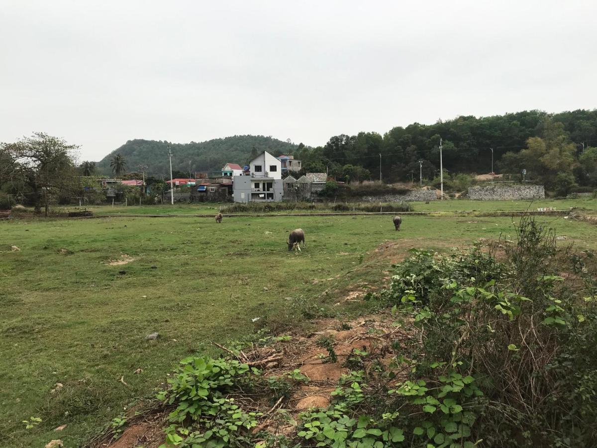 Bee Lucky Homestay Xuan Dam Eksteriør billede